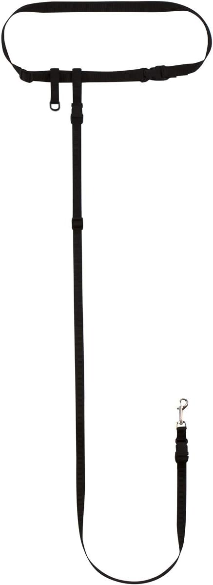 The Buddy System Hands Free Dog Leash, Adjustable Leash for Running, Jogging, Training and Service Dogs, Great for Small, Medium and Large Dogs, Made in USA (Black, Small Dog System (Large Belt))