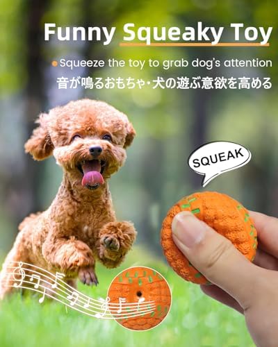 SCHITEC Squeaky Dog Toys, 4 Pack Latex Sports Balls for Mini Small Puppies - Image 2