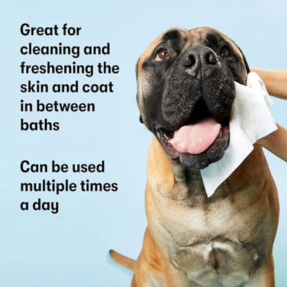 DOG by Dr Lisa - Dog Wipes - Plant-Based, Natural Bathing Wipes for Dogs - Made from 100% Compostable Bamboo - Vet-Created - Vegan, Non-Toxic - 240 Count - Image 6