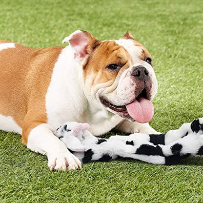 SHARLOVY Dog Squeaky Toys No Stuffing, 3 Pack Crinkle Dog Toys for Small - Image 7