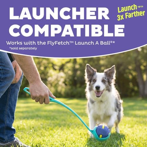 Outward Hound FlyFetch Rubber Fetch Ballz Dog Toy, Bounces & Floats, Launcher Compatible, 2.6", 2-Pack - Image 4