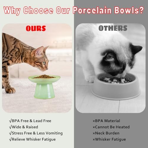 Wide Shallow 6.1" Raised Cat Bowls, Ceramic Elevated Food Bowl for Flat Faced Cats and Small Dogs, Porcelain Feeder Bowl, Stress Free, Protect Cat’s Spine, Green - Image 6
