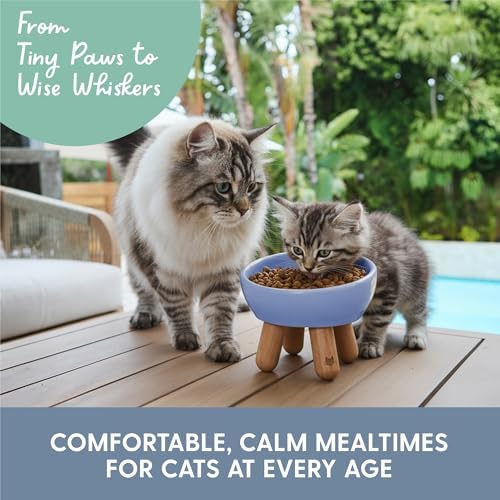 The Cat Ladies Tilted Ceramic Cat Bowl - Elevated Food Bowls Ceramic Pet Bowl - Raised Ceramics Bowls - Elevated & Tilted Design for Comfortable Eating - Dishwasher Safe - Wide Opening - Image 6