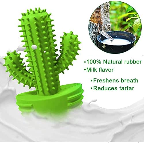 Pamlulu Dog Chew Toys, Toothbrush Stick Teeth Cleaning Brush Dental for Small Medium Large Dog, Rubber Squeaky Toys for Aggressive Chewers Cactus Tough Toys - Image 4