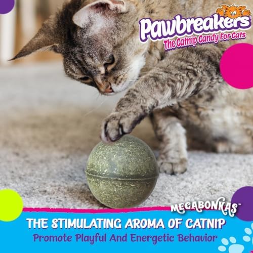 Pawbreakers 1-MegaBonkas Catnip Ball - All Natural Cat Treats & Toys, Medical Grade Catnip, Safe & Digestible, Hypoallergenic & Vegan - 3 oz, 2.25 inches Diameter, Made in USA - Image 2