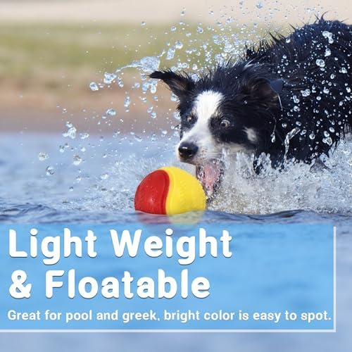 LECHONG 3.5in Squeaky Dog Balls Toys for Training, Dog Toys to Keep Them Busy, High Bouncy Balls for Interactive Playing, Great for Puppy Pet Teething and Chew 4Pcs - Image 5