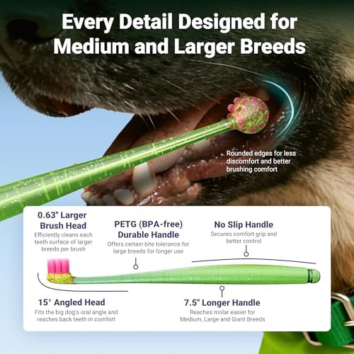 Dog Toothbrush for Medium and Large Dogs, 2pcs, Ultra Soft Bristle, Long-Lasting Handle, Pet Tooth Brush and Dog Dental Care Kit, Super Thin Bristle Gentle on Gum for Sensitive Pets, Green - Image 2