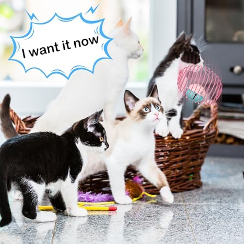 Jecery 5 Pcs Cat Toys Spring,Bell,Multicolor - Image 5