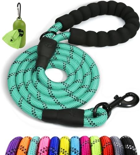 Taglory Rope Dog Leash for Small Medium Dogs, 6 FT Padded Handle, Turquoise by Taglory