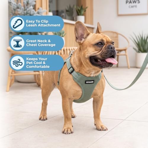 Best Pet Supplies Voyager Adjustable Step-in Flex Breathable Mesh Dog Harness for Small Medium Large Dogs Leash Set (Moss Green), XS - Image 2