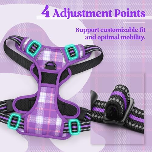 rabbitgoo Dog Harness, No Pull for Large Dogs with 2 Leash Clips, Pet Vest - Image 4