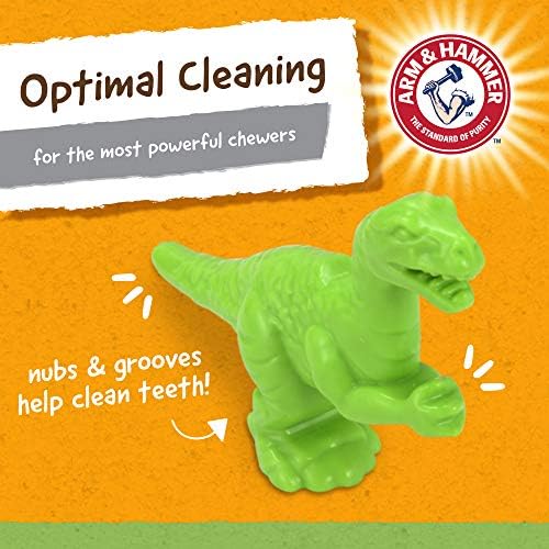 Arm & Hammer for Pets Nubbies Dental Toys T-Rex Dental Chew Toy for Dogs Best Dog Chew Toy for Moderate Chewers Reduces Plaque & Tartar Buildup Without Brushing, Mint Flavor (Pack of 2) - Image 3
