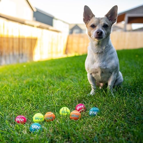 Outward Hound Squeaker Ballz Tennis Ball Dog Toy, X-Small, 1.5", 8-Pack - Image 6