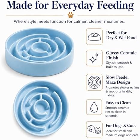Ceramic Slow Feeder Dog Bowl 1.5 Cup Puzzle Dish for Small Medium Dogs - Image 6