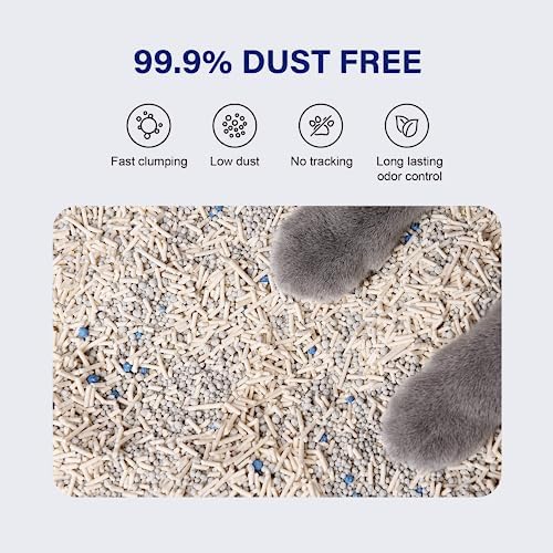 HONEY CARE Petrichor Mix Cat Litter I Tofu Cat Litter I Nature Plant-Based Pellets and Bentonite Sustainable I Low-Dust Qucik Clumping Superior Odor Control, 24-lbs Value Pack (6 lbs x 4) - Image 4