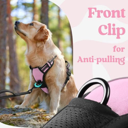rabbitgoo Dog Harness for Large, Updated Easy On & Off with 3 Buckles - Image 6