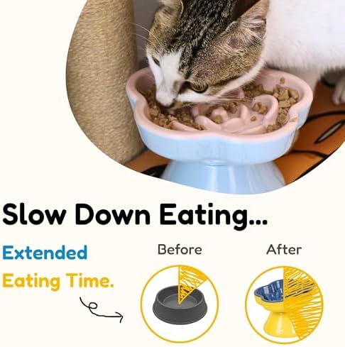 Detachable Slow Feeder Cat Bowl, Unbreakable Elevated Cat Bowls - Heavy Weighted, Non-Slip Raised Slow Feeder, Tilted Small Dogs Slow Feeders Bowl, Dry & Wet Food, Whisker Friendly (Blue, 5.8" - Image 2
