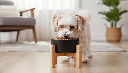 Elevated/Raised Ceramic Dog Bowl with Bamboo Stand,8 inch 7.6 Cups Non-Slip Heavy-Weighted Single Pet Dish, Reduces Neck Strain Black