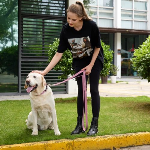 6 FT Pink Nylon Reflective Dog Leash for Small Dogs with 2 Padded Handle - Image 2