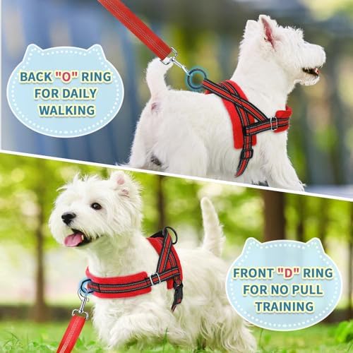 SlowTon No Pull Small Dog Harness and Leash Set with Front Clip - Image 4