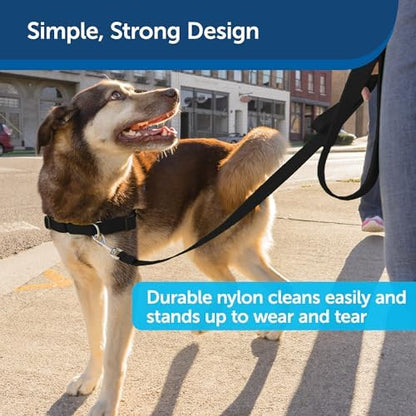 PetSafe Nylon Dog Leash - Strong, Durable, Traditional Style Leash with Easy to Use Bolt Snap - 1 in. x 6 ft., Black - Image 4