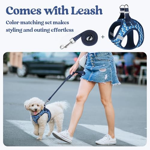 rabbitgoo Dog Harness Medium Sized and Leash Set, Step-in Puppy Pet Vest - Image 6