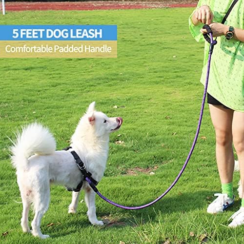 BAAPET 2/4/5/6 FT Dog Leash with Comfortable Padded Handle and Highly Reflective Threads for Small Medium and Large Dogs (5FT-1/2'', Purple) - Image 5