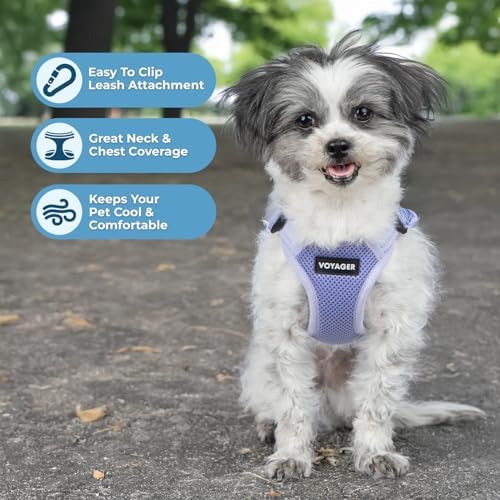 Voyager Step-in Flex Adjustable Dog Harness - Lavender, X-Large - Image 2