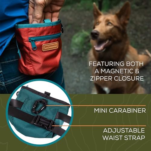 Wilderdog Dog Training Treat Pouch with Magnetic and Zipper Closure, Carabiner Attached, Adjustable Waist Strap - Cinnabar - Image 3
