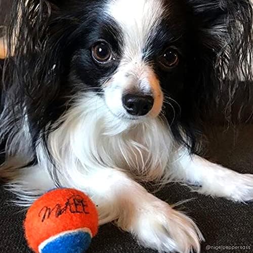 Midlee Squeaky Mini Tennis Ball for Dogs 1.5"- Pack of 12 (Orange/Blue) - Image 6