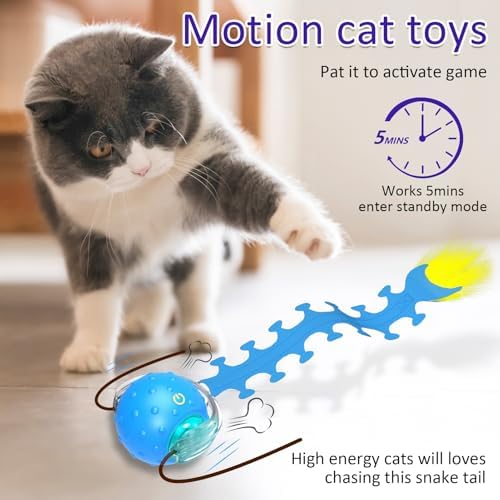 Giociv Interactive Cat Toys Ball for Indoor Cats Fast Rolling on Carpet, Chirping & Motion Activate Cat Toys (Blue Centipede) - Image 3
