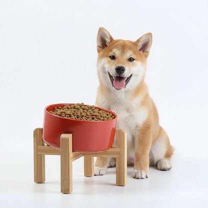 Petygooing Elevated/Raised 15°Slanted Ceramic Dog Bowl for Small and Medium Breeds, Tilted Anti Slip Pet Feeding Bowl,Food Water Dish with Stand for Cats and Dogs (28 OZ/3.6 Cups) Rust Red