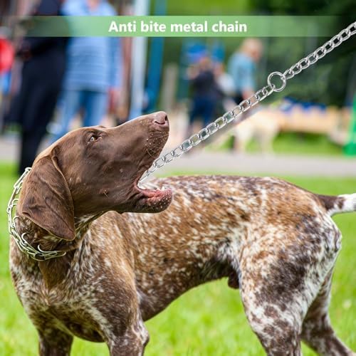Hypeety Double-Head Dog Leash Chain Heavy Duty Twin Lead for 2 Dogs, XL - Image 6