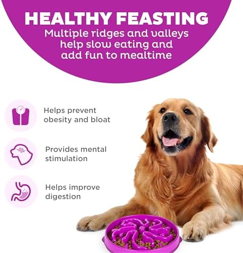 Outward Hound Fun Feeder Slo Bowl – Large 4‑Cup Capacity, Slow Feeding, Medium to Large Dogs, Non‑Slip, Purple, Flower Pattern - Image 2