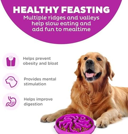 Outward Hound Fun Feeder Slo Bowl – Large 4‑Cup Capacity, Slow Feeding, Medium to Large Dogs, Non‑Slip, Purple, Flower Pattern - Image 2