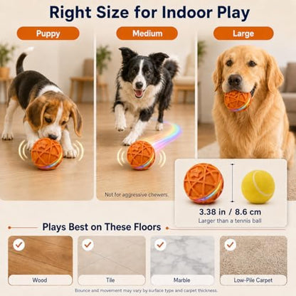 Interactive Dog Ball, Motion-Activated Rolling & Bouncing for Dogs - Image 5