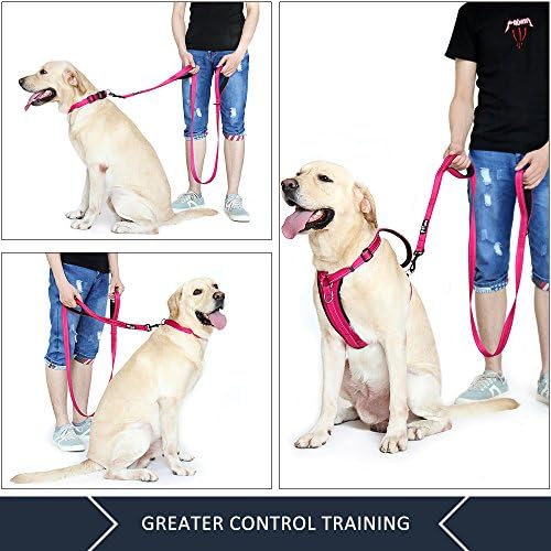 Plutus Pet Double Handle Dog Leash, 5 FT Long, for Medium Large Dogs - Image 3