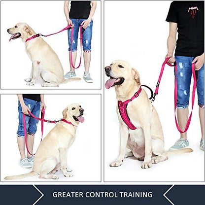 Plutus Pet Double Handle Dog Leash, 5 FT Long, for Medium Large Dogs - Image 3