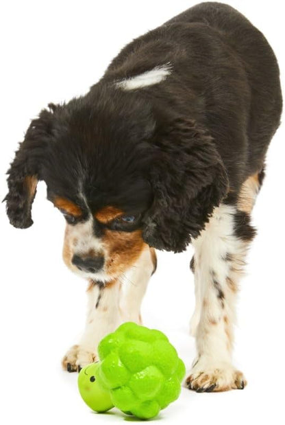 Petface Latex Broccoli Soft Chew Dog Toy, Small
