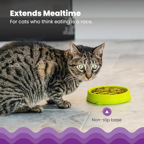 Catstages Kitty Slow Feeder Bowl for Cats & Kittens, 3/4 Cup, Green, 5" - Image 4
