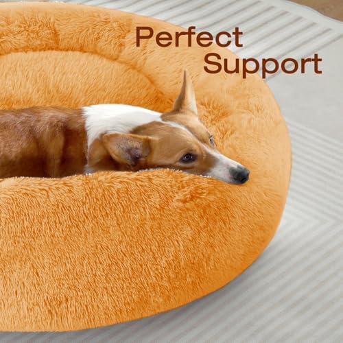 JOLLYVOGUE Dog & Cat Bed, Calming Anti-Anxiety Pet Bed for Small Dogs, Fluffy Donut Cushion for Small and Medium Pets (20") - Image 2