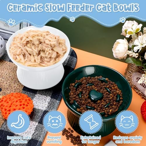 Tioncy 2 Pcs Ceramic Elevated Slow Feeder Cat Bowl, Dark Green, White - Image 4