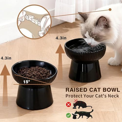 Elevated Cat Food Bowl, Ceramic Raised and Tilted Water Bowl, Whisker Fatigue Cat Bowls for Indoor Cats, Anti Vomiting and Protect Spines Pet Feeding Dishes for Kittens Small Dog, Heavy Non-Slip Base - Image 2