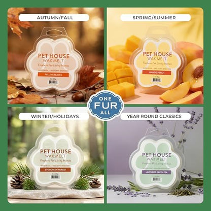 Cucumber Mint Spring and Summer Wax Melts Plant-Based Wax, Pet House - Image 4