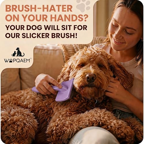 Slicker Brush for Dogs, Doodles, Poodles & Long Haired Cats - Image 6