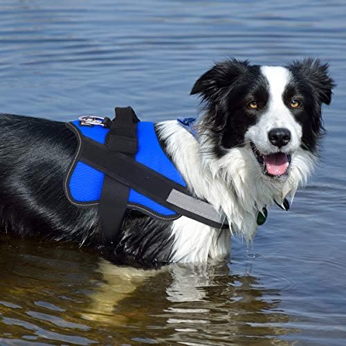 Dog Harness, No-Pull Reflective Dog Vest, Breathable Adjustable Pet Harness with Handle for Outdoor Walking - No More Pulling, Tugging or Choking (Blue, XS) - Image 6