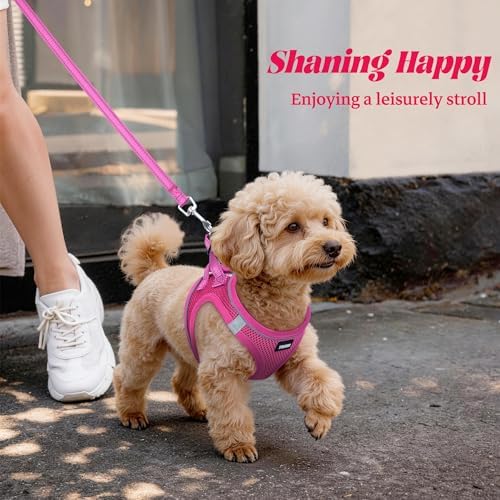 No Pull Dog Puppy Harness and Leash Set Reflective Mesh Vest Medium - Image 6