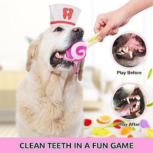 LEGEND SANDY Dog Squeaky Toys, Plush Small Dog Toys for Dogs, Stuffed with Squeakers,14 pcs Puppy Toys with a Carrying Bag for Small Medium Size - Image 4