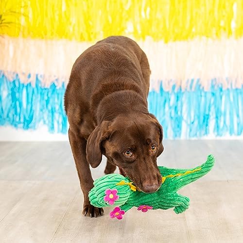 Fringe Studio Plush Dog Toy, Thorny But Cute, PetShop Collection (314156) - Image 6