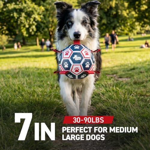 QDAN Dog Toys Soccer Ball with Straps：Durable Balls for Large Dogs, Outdoor Dog Toys, Puppy Birthday Gifts (7 Inch) - Image 4